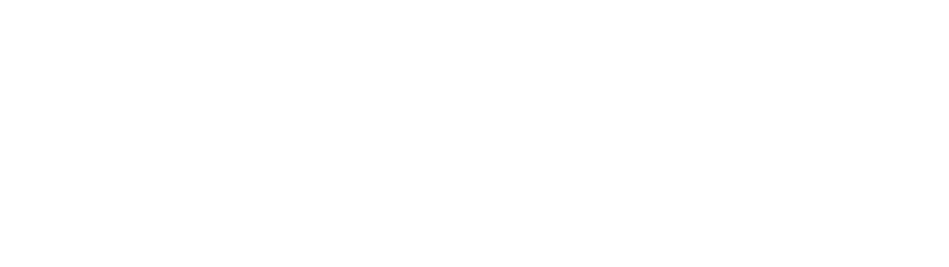 Elite Motors Logo