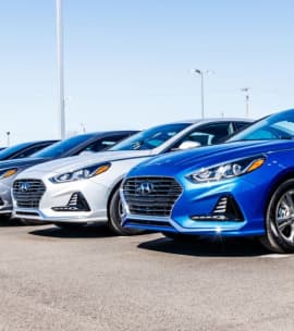 Client satisfait chez Elite Motors